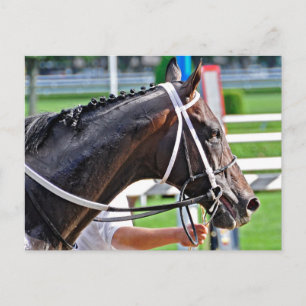 Postal Justin Phillip captura la Vanderbilt