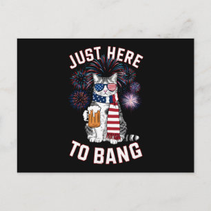 Postal Justo Aquí Para Bang USA Flag Beer Cat Lover 4 De