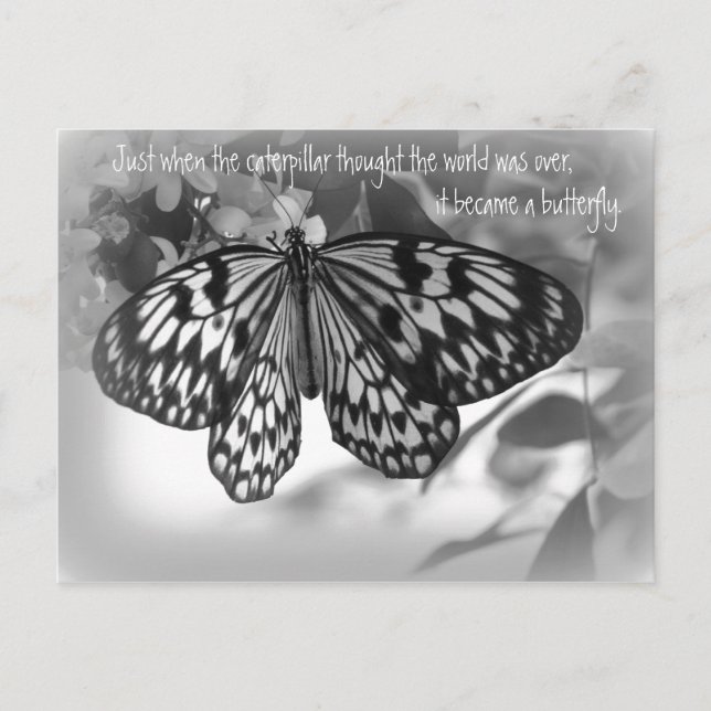 Postal Justo cuando la oruga pensó en el mundo (Anverso)