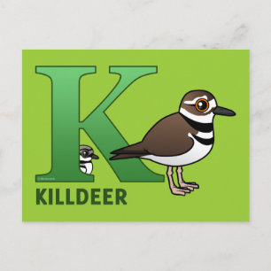 Postal K es para Killdeer