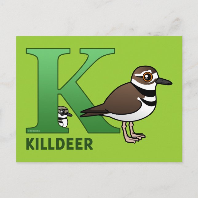 Postal K es para Killdeer (Anverso)