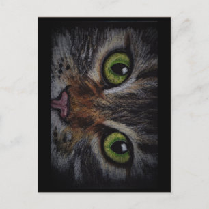 Postal Kaart kat
