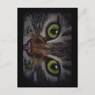 Postal Kaart kat
