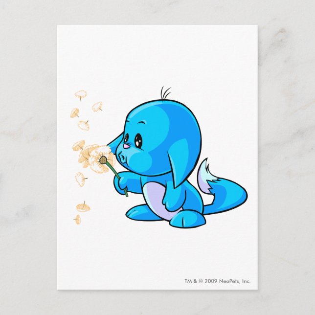 Postal Kacheek Blue (Anverso)