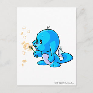 Postal Kacheek Blue