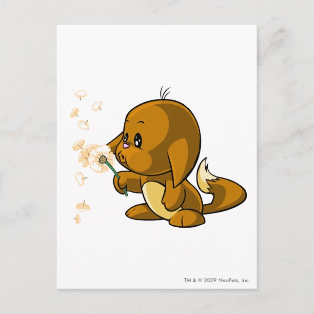 Postal Kacheek Brown (Anverso)