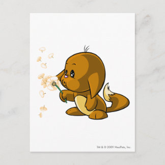 Postal Kacheek Brown