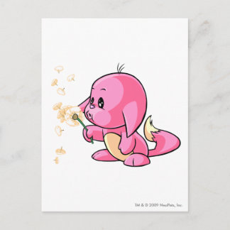Postal Kacheek Pink