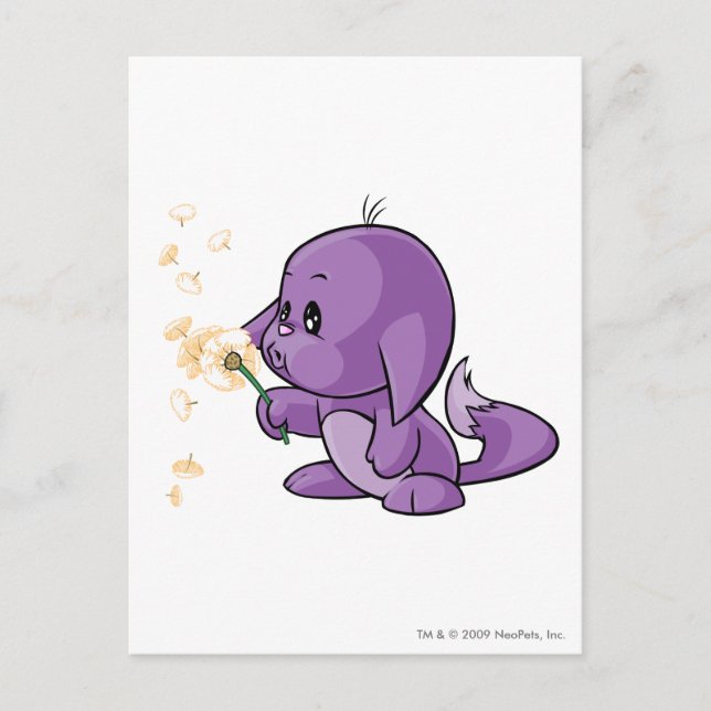 Postal Kacheek Purple (Anverso)
