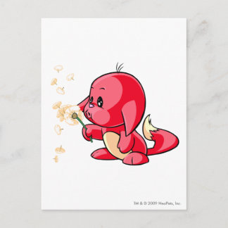 Postal Kacheek Red