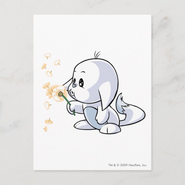 Postal Kacheek White (Anverso)