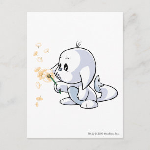 Postal Kacheek White