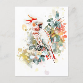 Postal Kakadu de color rojo