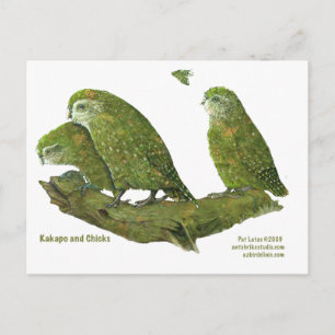 Postal kakapo y pollitos