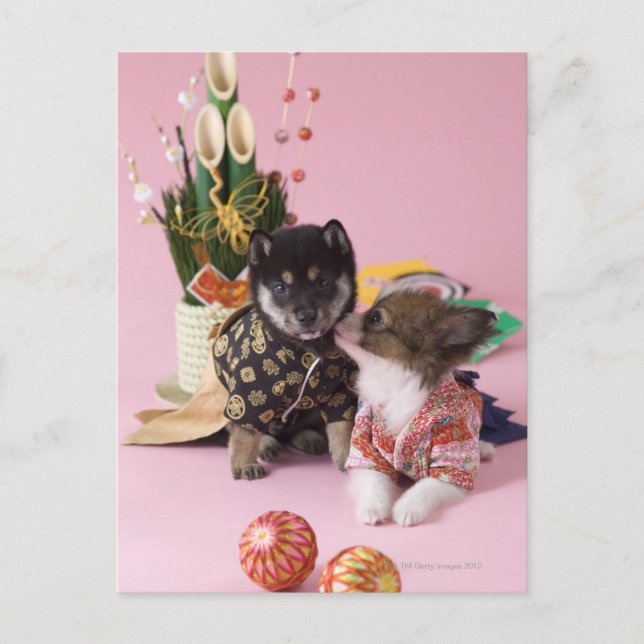 Postal Kanagawa, Honshu, Japón (Anverso)