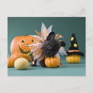 Postal Kanagawa, Honshu, Japón