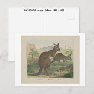 Postal KANAROO Joseph Scholz, 1829 - 1880