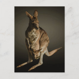 Postal Kangaroo