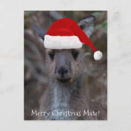 Postal Kangaroo Face Santa Hat Feliz Navidad