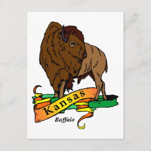 Postal Kansas Buffalo