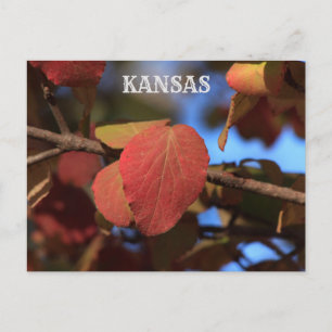Postal Kansas Fall Leave's