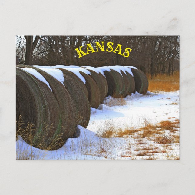 Postal Kansas Hay Bales con nieve en el campo (Anverso)