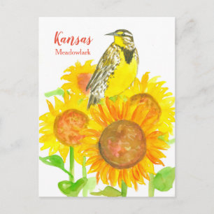 Postal Kansas Meadowlark Sunflowers