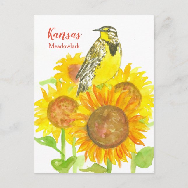 Postal Kansas Meadowlark Sunflowers (Anverso)