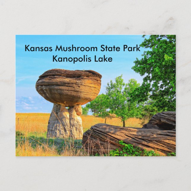 Postal Kansas Mushroom State Park Kanopolis POST CARTA (Anverso)