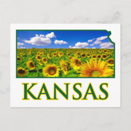 Postal Kansas Sunflower Sky