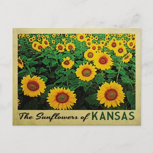Postal Kansas Sunflowers (Anverso)
