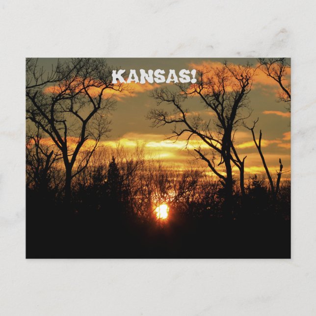 Postal Kansas Sunset con nubes y árboles Post Card. (Anverso)