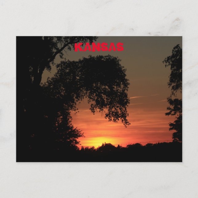 Postal Kansas Tree Silhouette Sunset (Anverso)