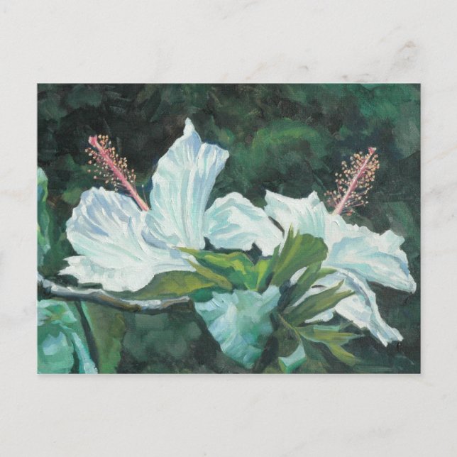 Postal Kao Kao 5 (Anverso)