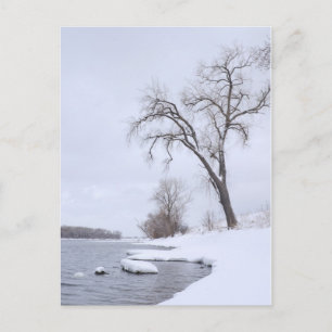 Postal Kaposia aterrizando en invierno