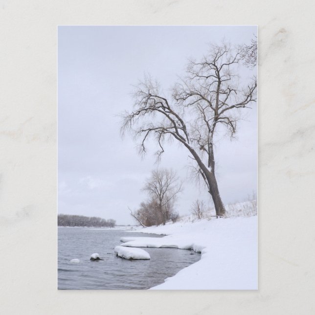 Postal Kaposia aterrizando en invierno (Anverso)