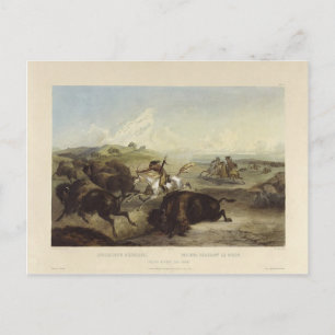 Postal Karl Bodmer - Indios cazando al bisonte