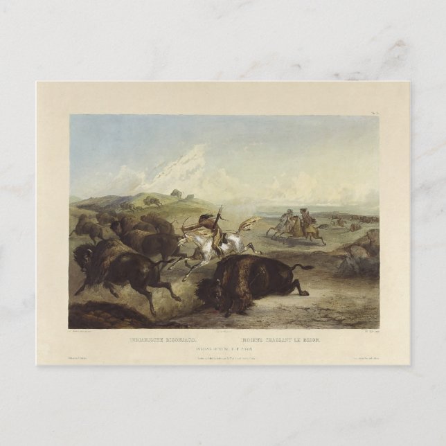 Postal Karl Bodmer - Indios cazando al bisonte (Anverso)