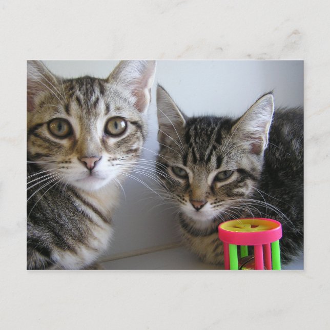 Postal Katie & Carl (Anverso)