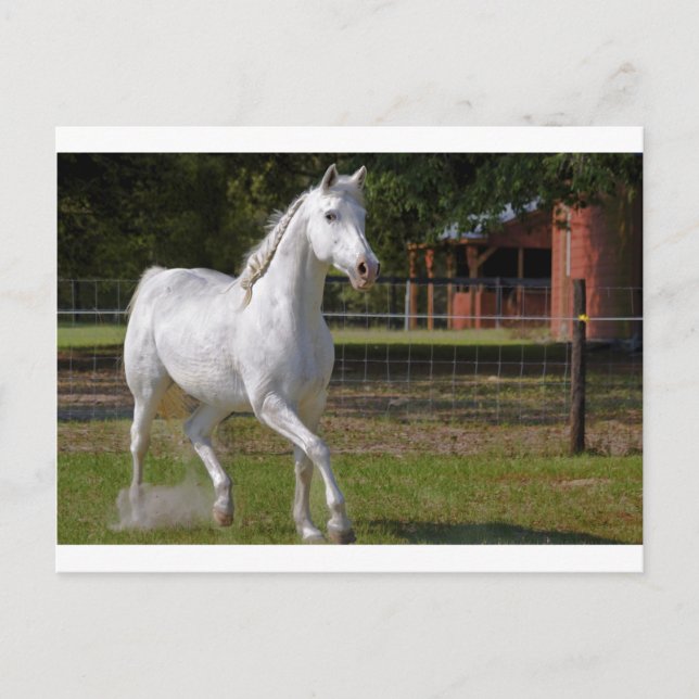 Postal Katie Running (Anverso)