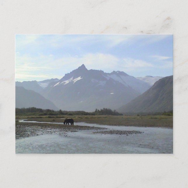 Postal Katmai Brown Bear (Anverso)
