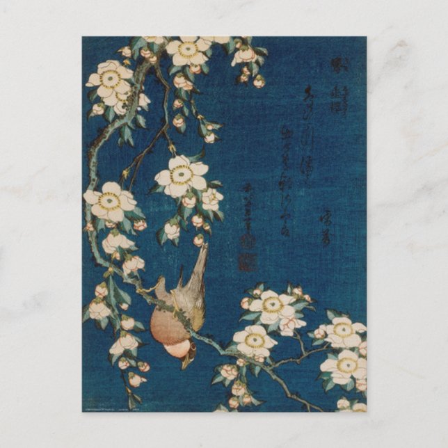 Postal Katsushika Hokusai 葛 飾 北 Goldfinch y Cherry Tree (Anverso)
