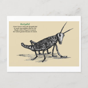 Postal Katydid