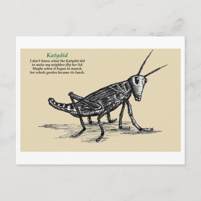 Postal Katydid (Anverso)