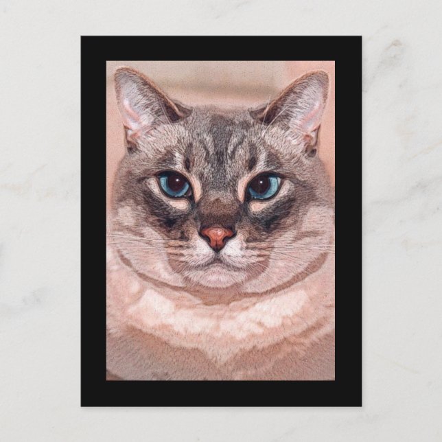 Postal Katz (Anverso)