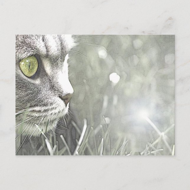 Postal Katz (Anverso)