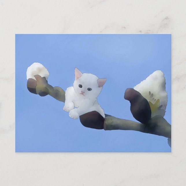 Postal Kätzchenfrühling (Anverso)
