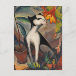 Postal Katze mit Kakteenblute de Maetzel-Johannsen