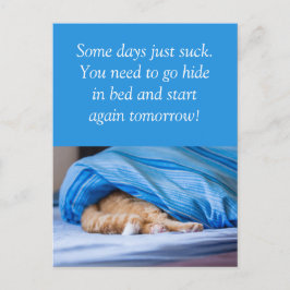 Postal Katze rot Bett versteckt Some days suck