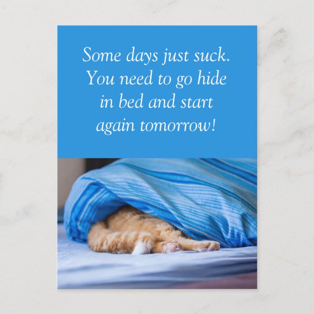 Postal Katze rot Bett versteckt Some days suck (Anverso)